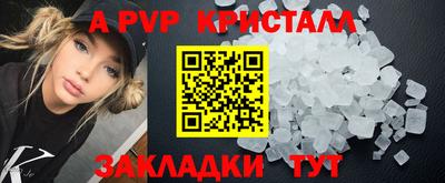 ECSTASY Ливны