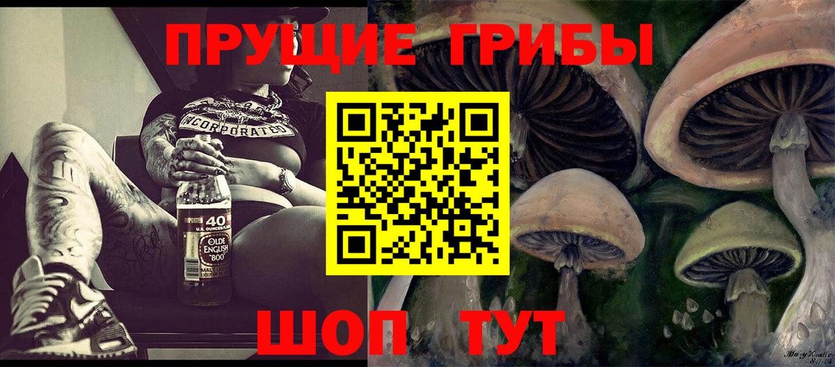 Арзамас  Галлюциногенные грибы MAGIC MUSHROOMS  сколько стоит  Вход с VPN 